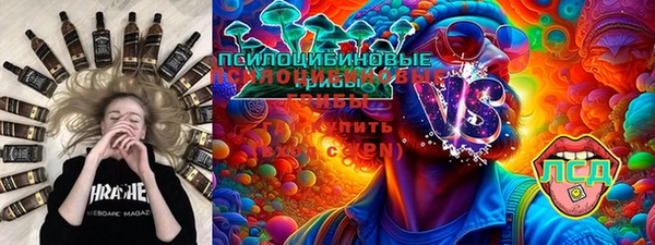 гашик Алзамай