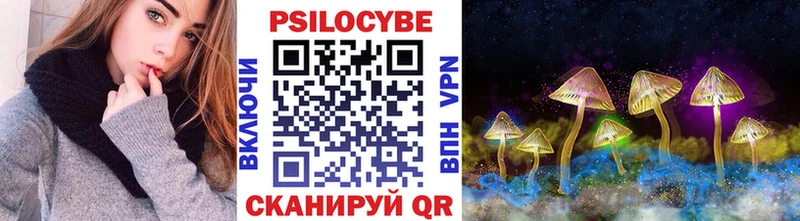 Псилоцибиновые грибы Psilocybe  Куса 
